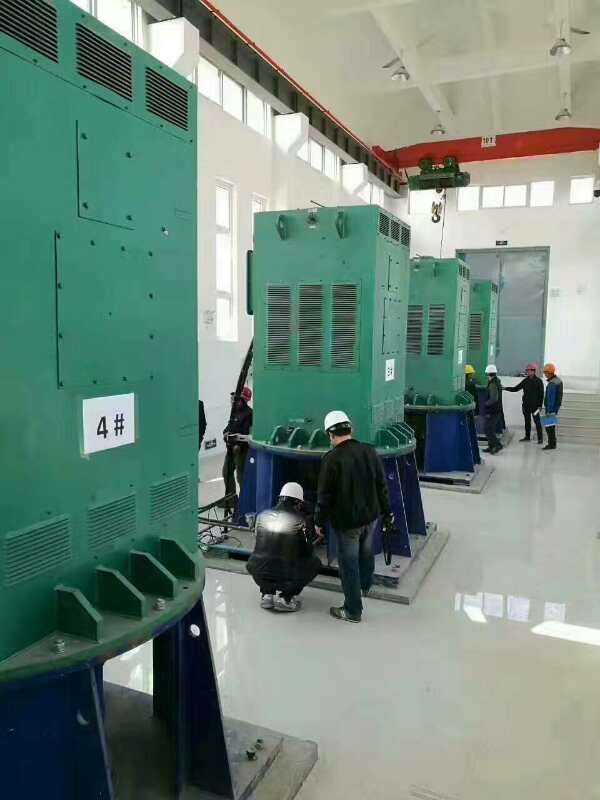 沧州某污水处理厂使用我厂的立式高压电机安装现场